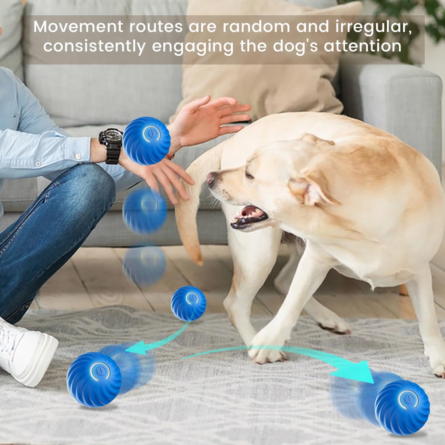 Interactive Rolling Ball Toy, USB Rechargeable, Suitable for Small/Medium Dogs