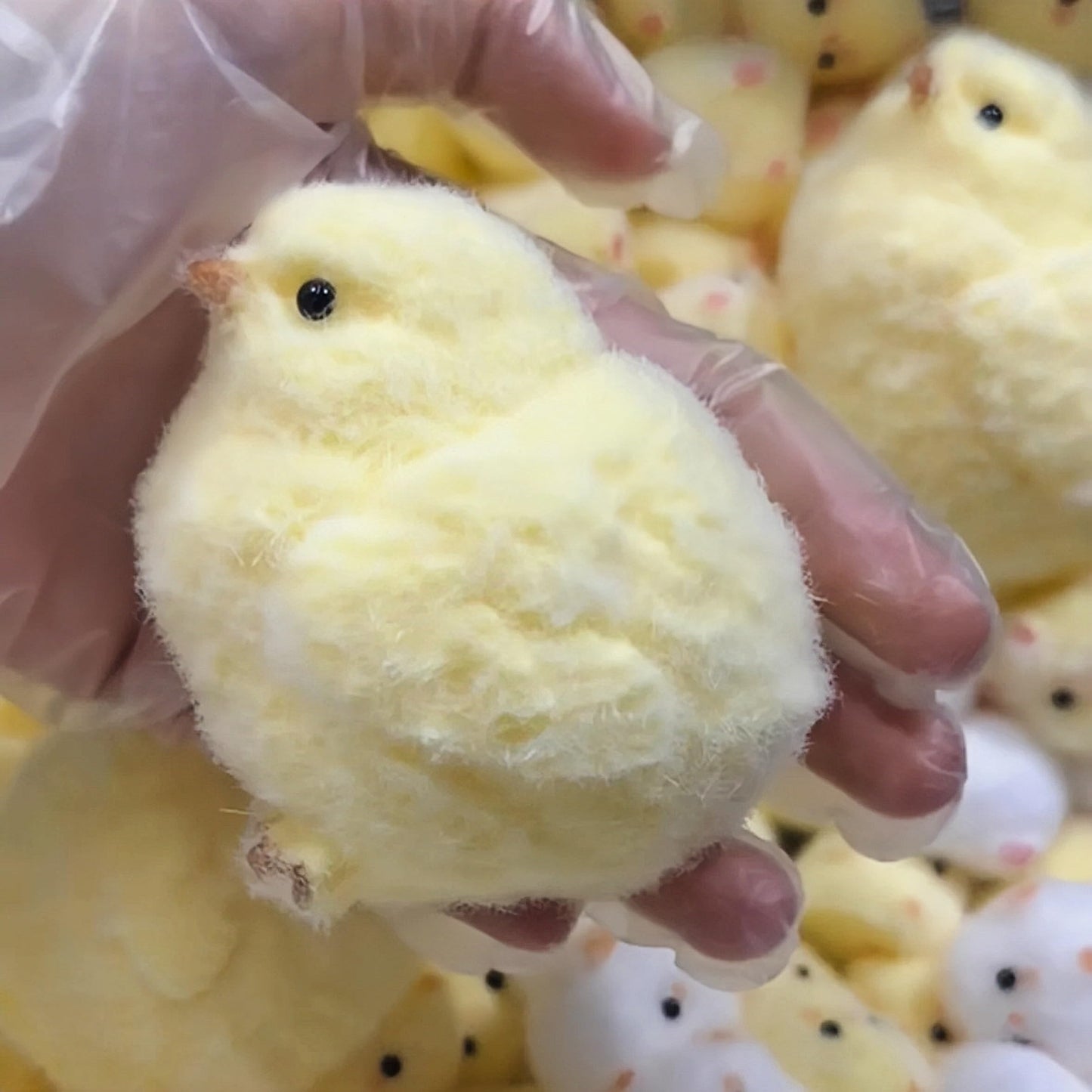 Chicken Taba Squishy Toy