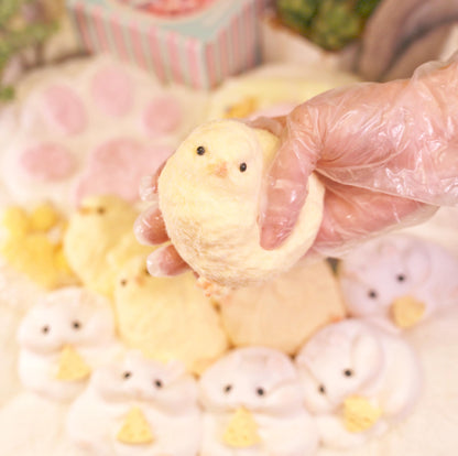 Chicken Taba Squishy Toy