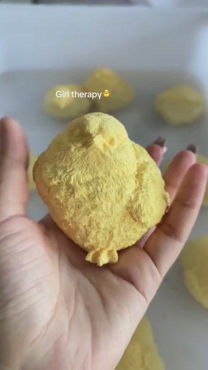 Chicken Taba Squishy Toy