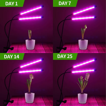 Two - Headed Plant Grow Light - HotSeller.eu